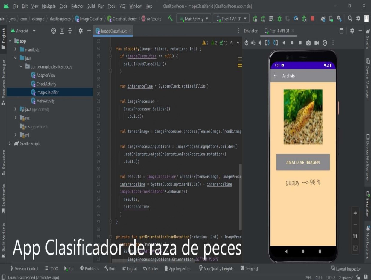 Clasificador de raza de peces